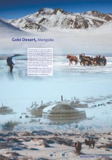 13_Mangolia