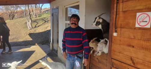 day-2-wow-sochji-heavenly-india-2020 (14)