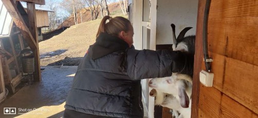 day-2-wow-sochji-heavenly-india-2020 (16)