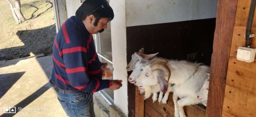 day-2-wow-sochji-heavenly-india-2020 (17)