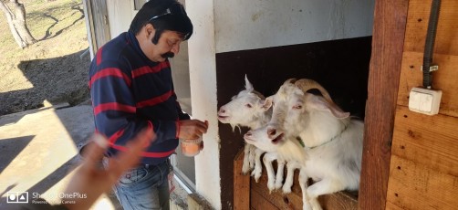 day-2-wow-sochji-heavenly-india-2020 (4)