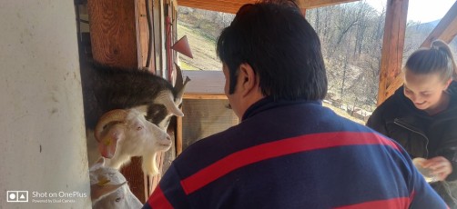 day-2-wow-sochji-heavenly-india-2020 (5)