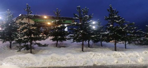 day1-wow-sochi-2020-heavenly-india (8)