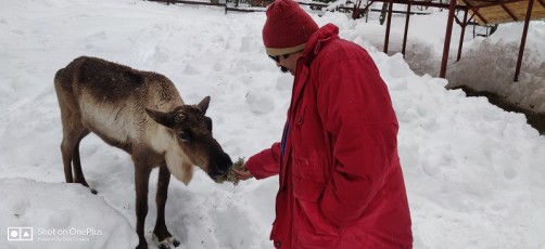 wow-sochi-heavenly-india-fame-trip-igloo-1400mtrs (17)