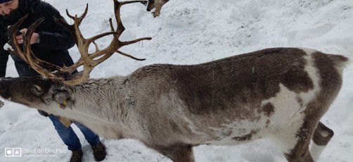 wow-sochi-heavenly-india-fame-trip-igloo-1400mtrs (21)