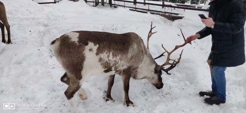 wow-sochi-heavenly-india-fame-trip-igloo-1400mtrs (22)