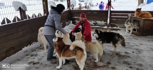 wow-sochi-heavenly-india-fame-trip-igloo-1400mtrs (27)