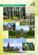 11 -- Bali Indonesia