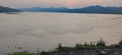 WhatsApp Image 2023-01-30 at 2.24.51 PM (1)