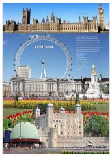 Heavleny India to Oct. to Dec. 2023-11