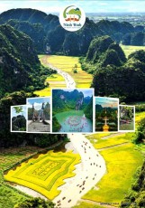 Heavleny India to Jan. to March 2024-26