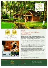 Heavleny India to July to Sep. 2024 -17