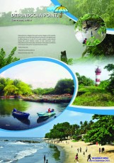 Heavleny India to July to Sep. 2024 -9